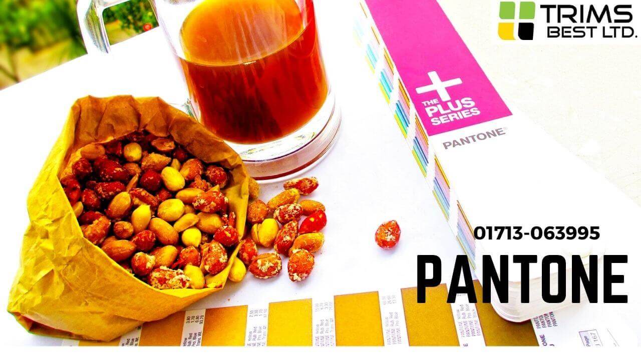 Pantone Book Pms in Bangladesh