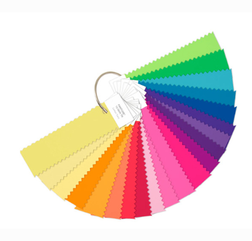 Pantone TN Nylon Bright Color Book