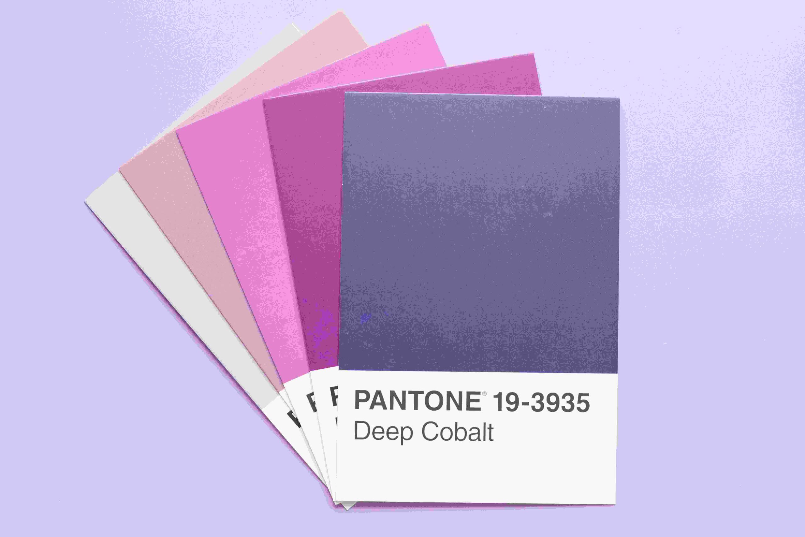 Pantone Cotton Swatch Card SWCD TCX in Bangladesh